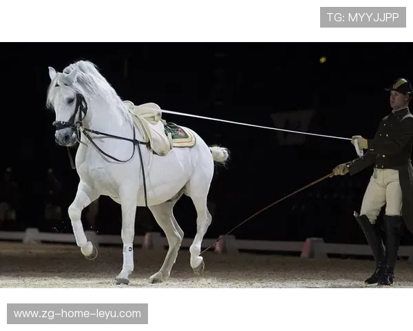 瑞士骑手史蒂夫·古尔达特在巴黎奥运会后成为马术协会主席，推动马术运动发展。