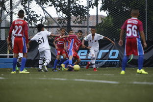 乐鱼官网安全-中国足球青训成果展示会在多地举办，中国足球青训比赛